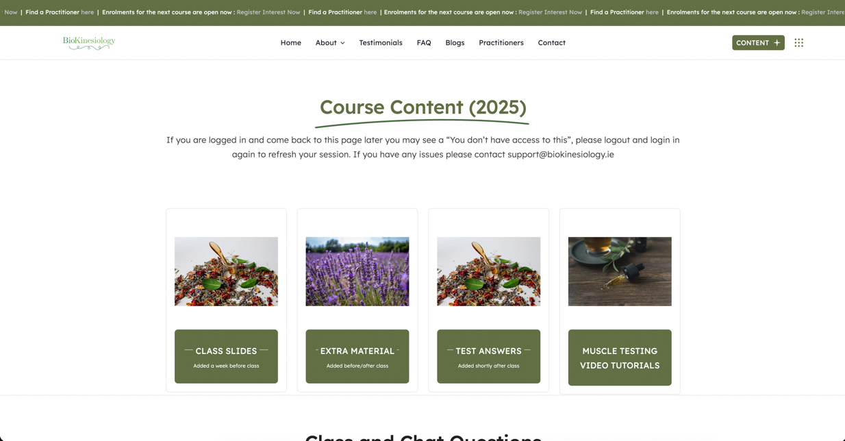 BioKinesiology Website Screenshot